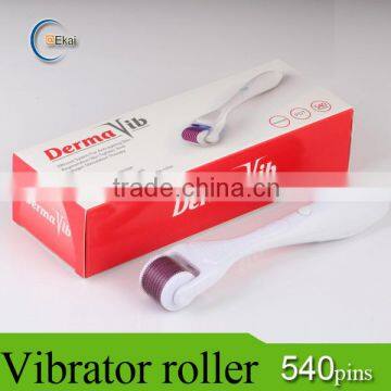 Guangzhou Ekai Selling Dermaroller 540/600 Needles