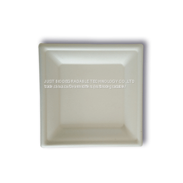 JUST Disposable Paper Pulp Bagasse Tableware Square Plate 8