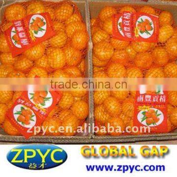 Fresh Chinese baby mandarin