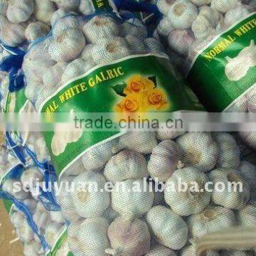 Fresh Normal White Garlic