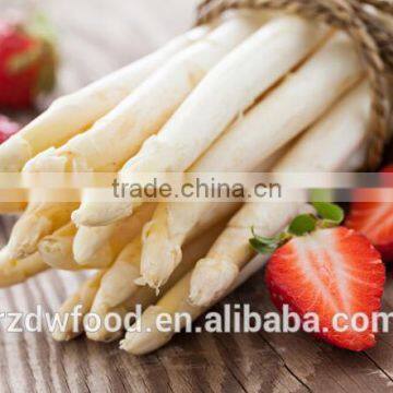 IQF Frozen White Asparagus From Shandong-dia 8-10mm