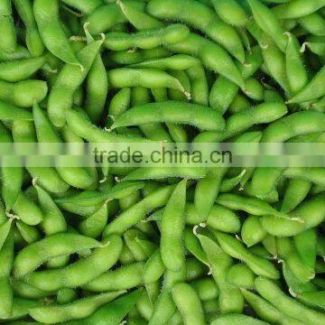 IQF Edamame Frozen Green Soy bean