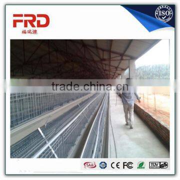 FRD Chicken poultry farm layer cage (Manufacturer ISO9001-2000)/Model Poultry Cage