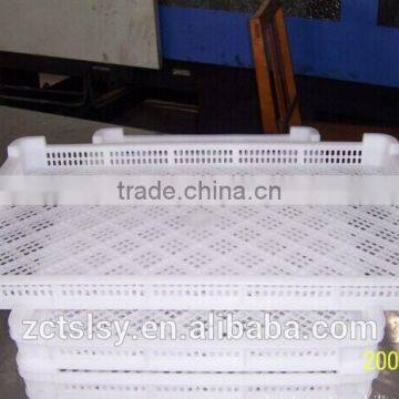 the PE plastic freezer tray for seafood with low price