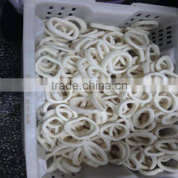 Delicious Frozen HACCP Frozen Squid Ring photo-6