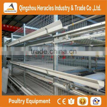Trade Assurance automatic chicken broiler cage for sale