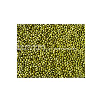 green  mung beans