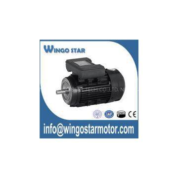 Ac Motor