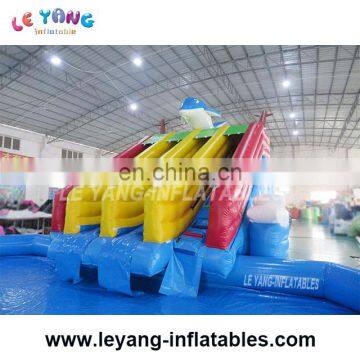 Dolphin inflatable wet slide , inflatable slide with pool , inflatable water park