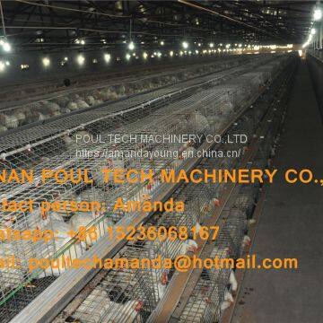 Morocco Broiler Farming Automatic Broiler Cage & Chicken Cage with Automatic Feeding System & Nipple Drinking System