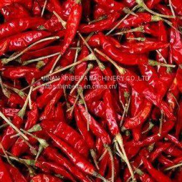 Pepper Drying Machine photo-5