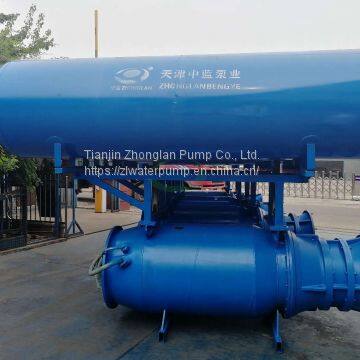 Buoy axial-flow pump