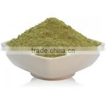 premium Quality Wheat Grass Powder for supply