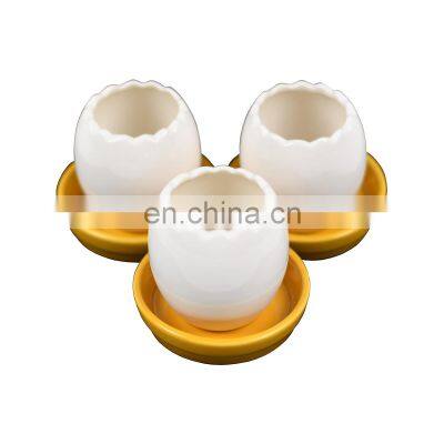 egg shape ceramic flower planter plant pot