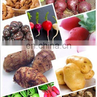 Automatic Ginger Washer and Peeler Machine Cassava Wash and Peel Machine photo-3