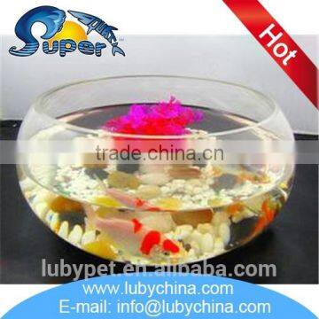 Professional glass fish tank aquarium with low price