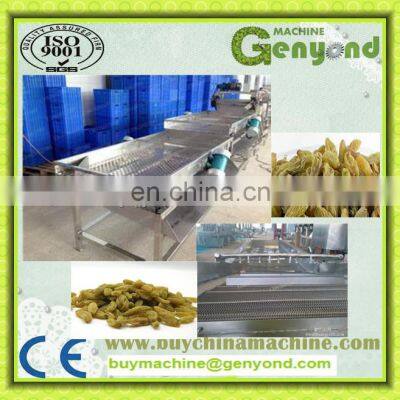 Industrial Raisin Cleaning and Sorting Line / Raisin Processing Machine photo-2