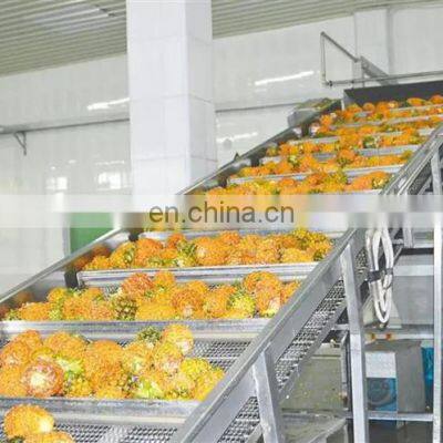 AUTOMATIC PINEAPPLE CANNING MACHINE