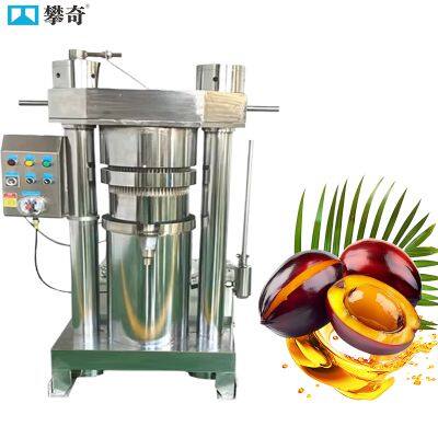 Energy-Saving Hydraulic Oil Press With Dual-Pump System & Pressure Gauge Display
