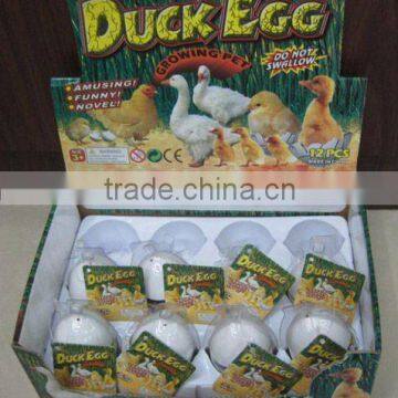 Growing Hatching Duck&Chicken Egg Toy