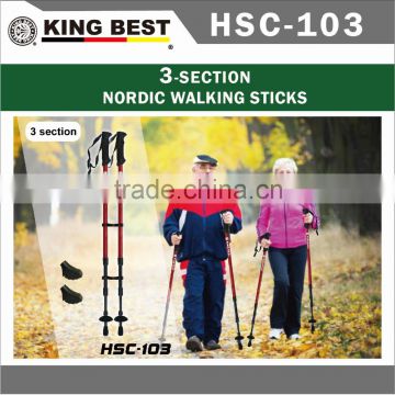 KING BEST 2016 Wholesale Carbon trekking pole 3-SECTION adjustable folding nordic walking stick