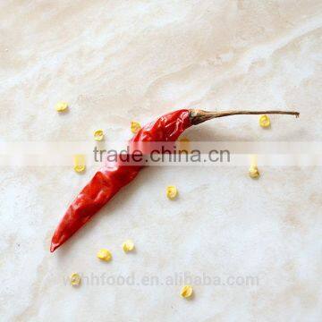 Red Chili for Exporter