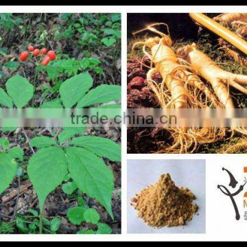 Panax Ginseng Extract Dietary Supplement (HALAL&Kosher)