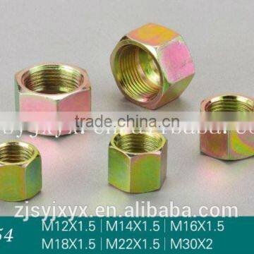 Sanye mingjie high quality Hex Head cap nut