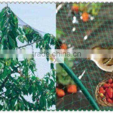 Fruit Protection Net