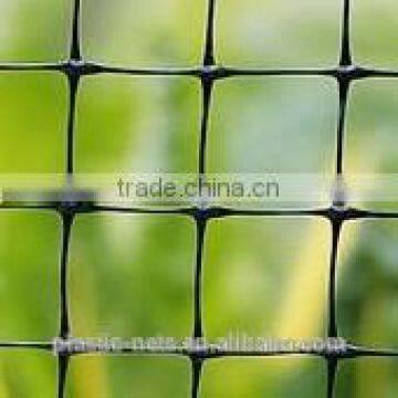 Plastic Net for Trunk Protection photo-5