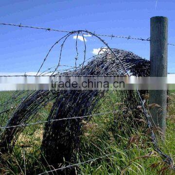 High Security Barbed Wire for Sale (Professional Manufacturer)