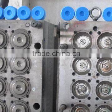 Hot Runner/Cold Runner Injection Cap Moulding Made In China