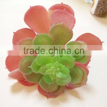Popular High Simulation Artificial Succulent Plant From China Manufacture photo-5