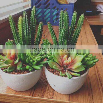 Best selling hot fashion succulent plants artificial succulent plants for decoration