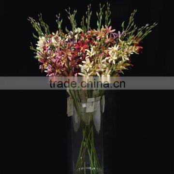 Hotselling artificial cymbidium flower for interior decoration hybridum flower silk orchid in China