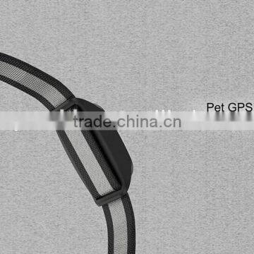 Factory Price Mini GPS Tracker for Dog Pet GPS Tracker Real Time Tracking