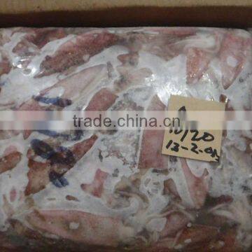 FROZEN SQUID LOLIGO WHOLE