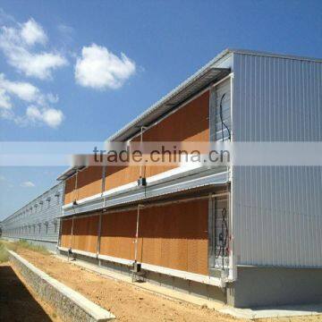 Chicken farm building including automatic equipment and chicken shed