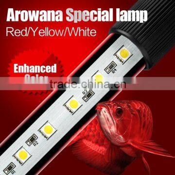 Arowana dedicated dive light