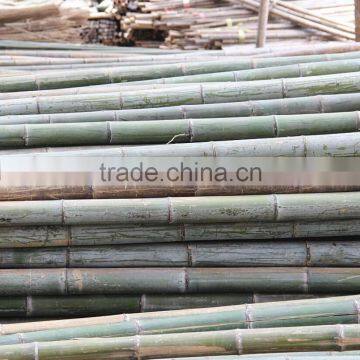 Bamboo Poles and Bamboo Bent Pole