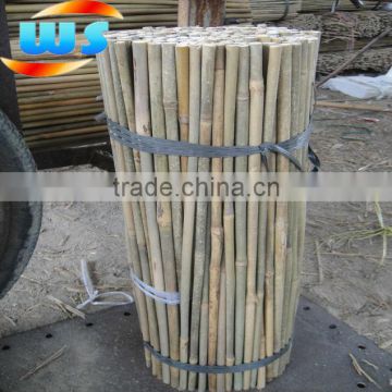 bamboo stake