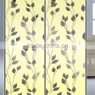 Acid Transparent Titanium Pattern Mirror Glass photo-4