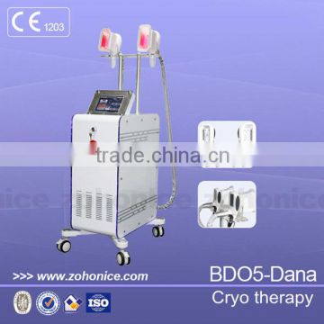 Fat Reduction BD05 Cryolipolysis Freezing Fat Cell Slimming Machine With 2 Handles 220 / 110V