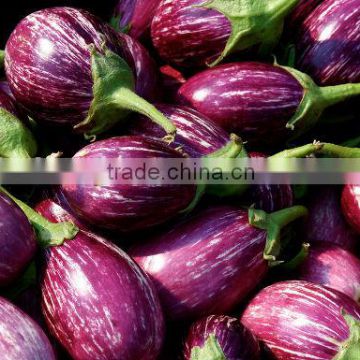 Brinjal Price