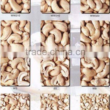 GOOD QUALITY CASHEW NUTS (export.vilaconic(at)gmail.com