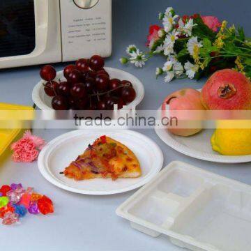 biodegradable dinner plate