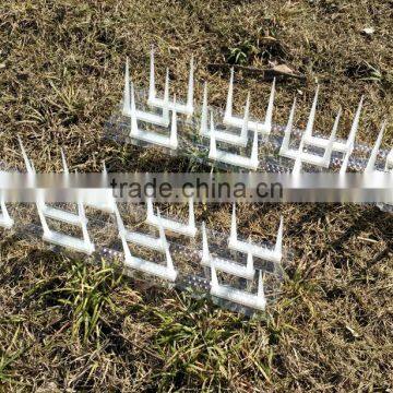 Garden plastic Anti bird spike