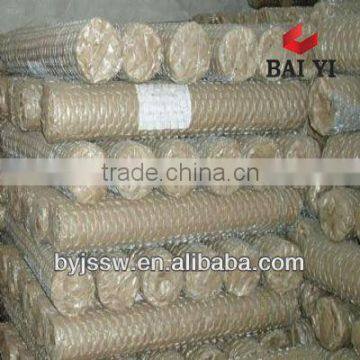 Galvanized Chicken Cloth Wire Netting