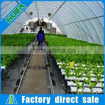 China PE Material Cover Material single span film greenhouse