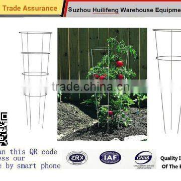 Stake Tomato Keeps Plant Tree Creeper Vine Support Cage